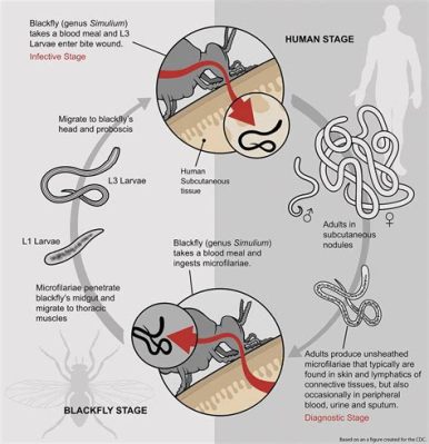  Know Your Kryptoplastid For A Parasite-Free Life: Discover This Tiny Beastie Hiding In Everyday Seashells!